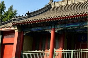 IM电竞登录入口-这段野史，比正史还真